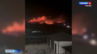 За сутки в Крыму сотрудники МЧС потушили несколько крупных пожаров