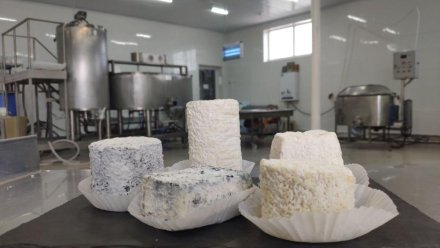 В Крыму с начала года произведено более 700 тонн сыров
