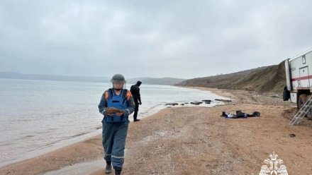 В Бахчисарайском и Ленинском районах уничтожили боеприпасы времен Великой Отечественной войны 