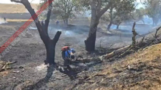 Пожарные МЧС РФ ликвидируют очаги возгорания 