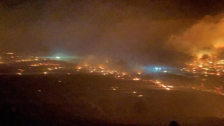 Площадь пожара в пгт Орджоникидзе возросла до 20 гектаров