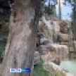 В этом году в Алупке планируют принять до 2 миллионов гостей
