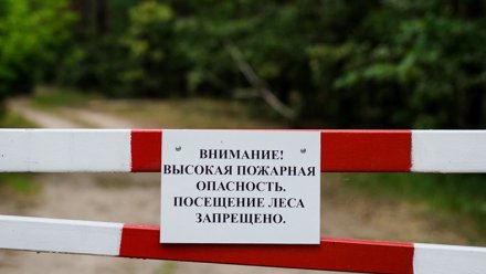 В Крыму запрещено посещать леса 