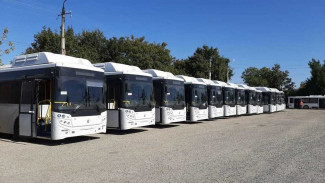 Около 20 новейших автобусов выйдут на маршруты Керчи
