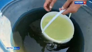 В селе Ульяновка Белогорского района приступили к строительству нового водопровода