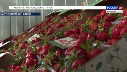 В Крыму ввели ЧС из-за весенних заморозков