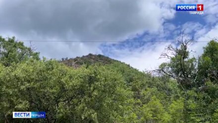 Пожар на горе Кастель локализовали на площади 5 га