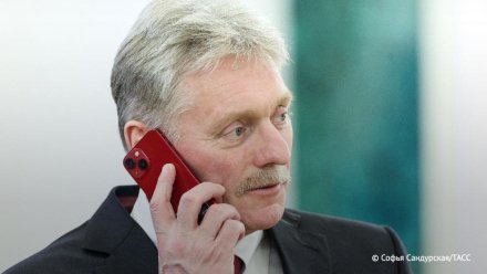 Песков: Задержание российского археолога Бутягина в Польше — это «правовой произвол»