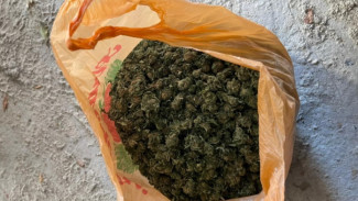 У пожилого крымчанина нашли три килограмма марихуаны 
