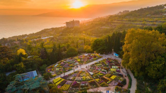 Почти 1000 га садов высадят в Крыму: на эти цели получены средства из федерального бюджета