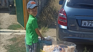 Мальчик из Керчи собирал макулатуру, чтобы помочь приюту для животных