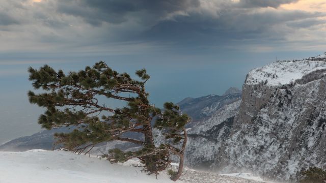 Экстренное предупреждение МЧС: шторм, ветер, снег
