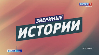 ВЕСТИ-КРЫМ «Звериные истории»: выпуск 22.11.2024