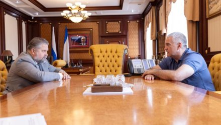 Сергей Аксёнов и замглавы ЦБ РФ обсудили в Крыму борьбу с мошенниками и финансовую грамотность