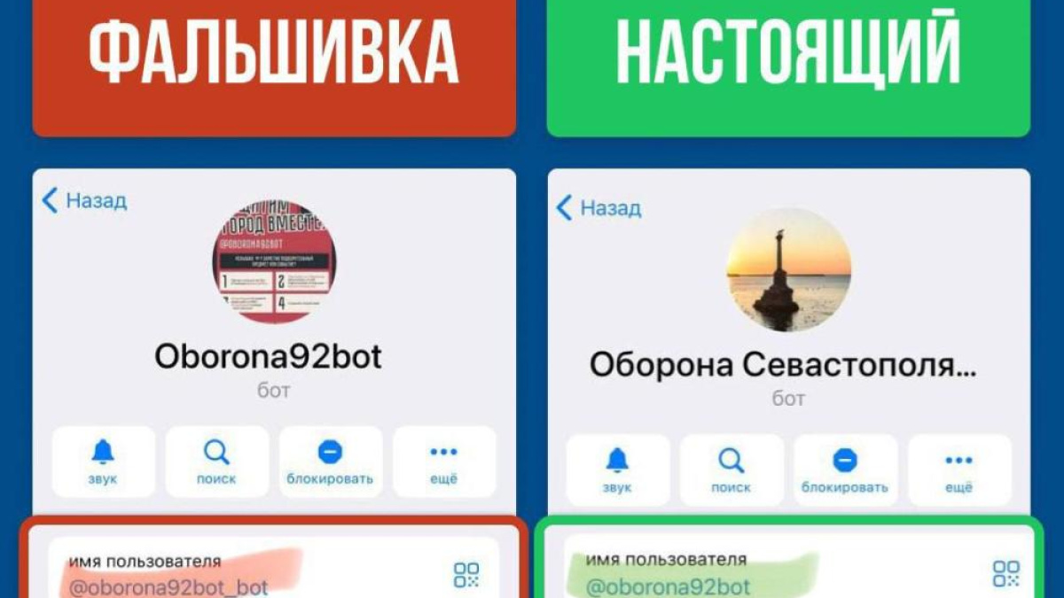 Внимание, фейк! Фальшивый чат-бот крадет Telegram-аккаунты севастопольцев –  Новости Крыма – Вести Крым