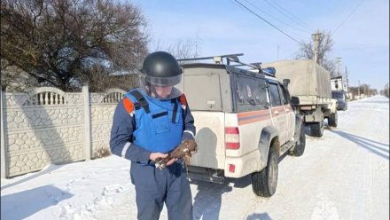 В Джанкойском районе уничтожили минометную мину времен Великой Отечественной войны