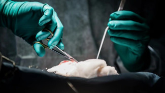 Больше 17 тысяч крымчан получили высокотехнологичную медпомощь в 2025 году