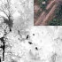Новороссийские десантники ежедневно уничтожают противника вблизи Запорожья