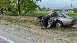В Крыму водитель легкового автомобиля погиб после столкновения с деревом