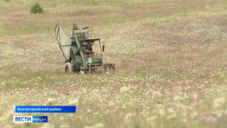 Крымская косметика выходит на международный рынок