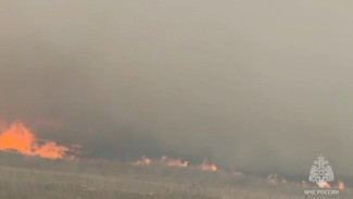 Площадь пожара под Симферополем возросла до 200 Га