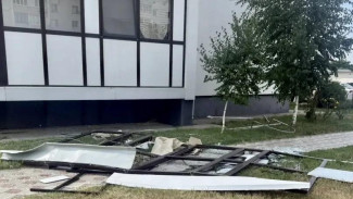 Сильный ветер повалил деревья в Евпатории