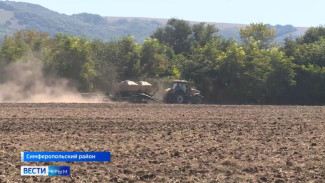 В Крыму нашли решение проблемы дефицита кадров в сельском хозяйстве