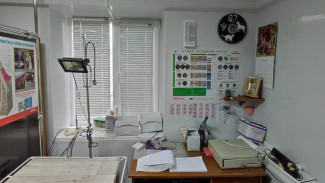 Прокуратура выявила нарушения в деятельности государственной ветеринарной клиники в Феодосии
