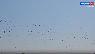 Астролог из Крыма рассказала, какой будет пятница 13 декабря