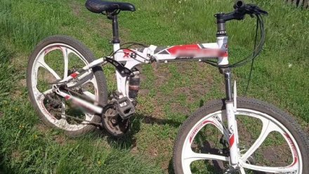 В Сакском районе у школьника украли велосипед