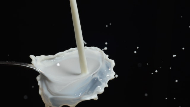 Кишечную палочку обнаружили в крымской молочной продукции