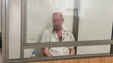 ️Суд заключил под стражу мужчину, который убил бывшую тещу в Севастополе