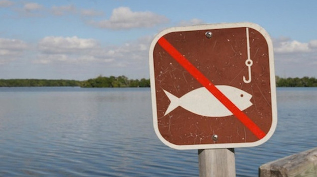 Названы районы Черного моря, где запрещено ловить рыбу