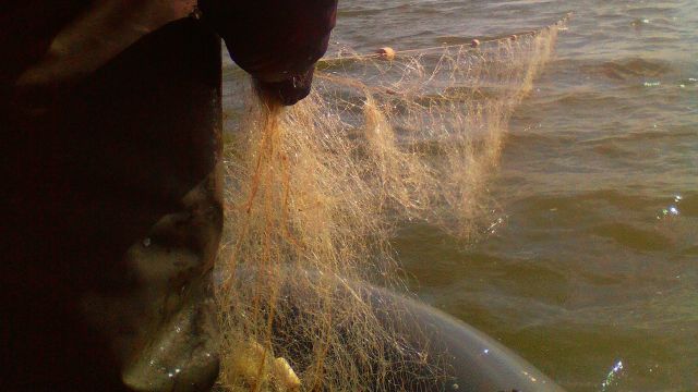 В ходе рейда в водохранилищах Крыма изъято десятки метров сетей
