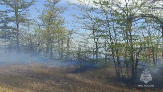 В Симферопольском районе горит сухая трава на площади 10 гектаров