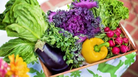Благодаря поставкам овощей из Херсона и Запорожья в Крыму удается сдерживать рост цен