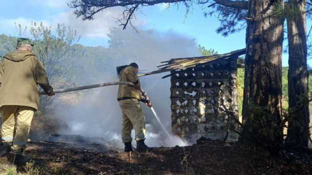 В Крыму вспыхнул пожар на границе с заповедником 