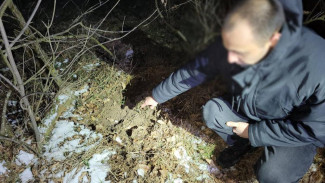 Житель Джанкойского района искал в кустах наркотики