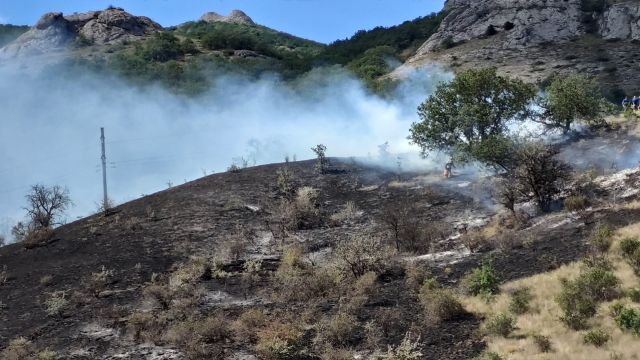 Карадагский заповедник мог сгореть из-за сильного ветра