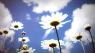 Хор «Кампанелла» – «У меня Россия есть»