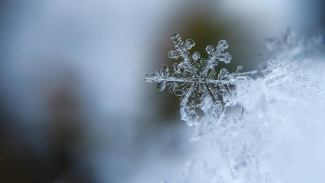 Мокрый снег и гололед: погода в Крыму и Севастополе на 14 февраля