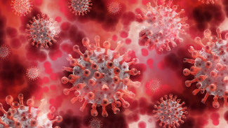 В Крыму более четырехсот заболевших коронавирусом за сутки