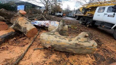 Последствия непогоды в Ялте – сорвано 40 крыш и повалено 200 деревьев