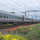 Более 5 тысяч билетов поступили в продажу на поезд «Москва-Симферополь»