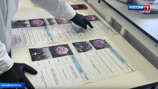 В Крыму генетические паспорта получили 20 сортов растений