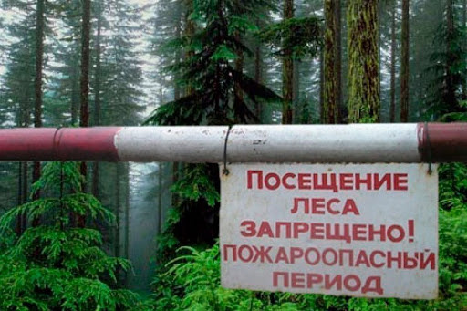 В Крыму продлен запрет на посещение лесов