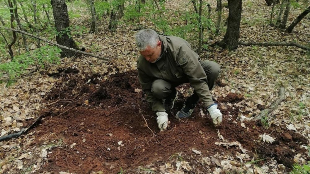 Севастопольские поисковики нашли останки советского солдата