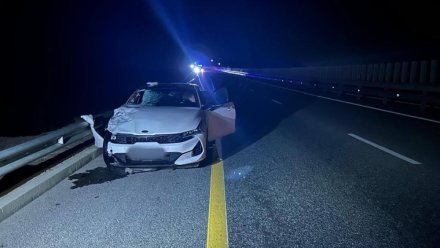 Водитель сбил пешехода насмерть на трассе «Керчь – Симферополь - Севастополь» 