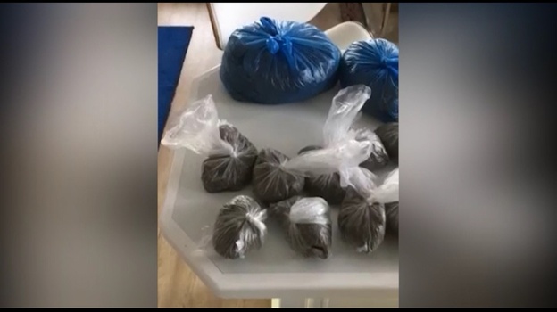 Более 1,5 килограммов наркотиков изъяли у жителя Ялты