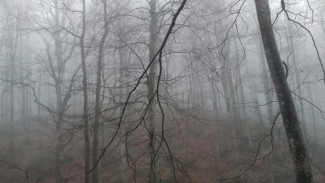 Плотный туман 21 апреля на трассе "Таврида" до Севастополя